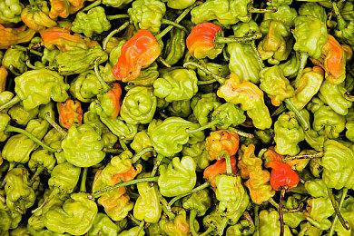 动视禁用《使命召唤19》Steam家庭共享功能 玩家愤怒